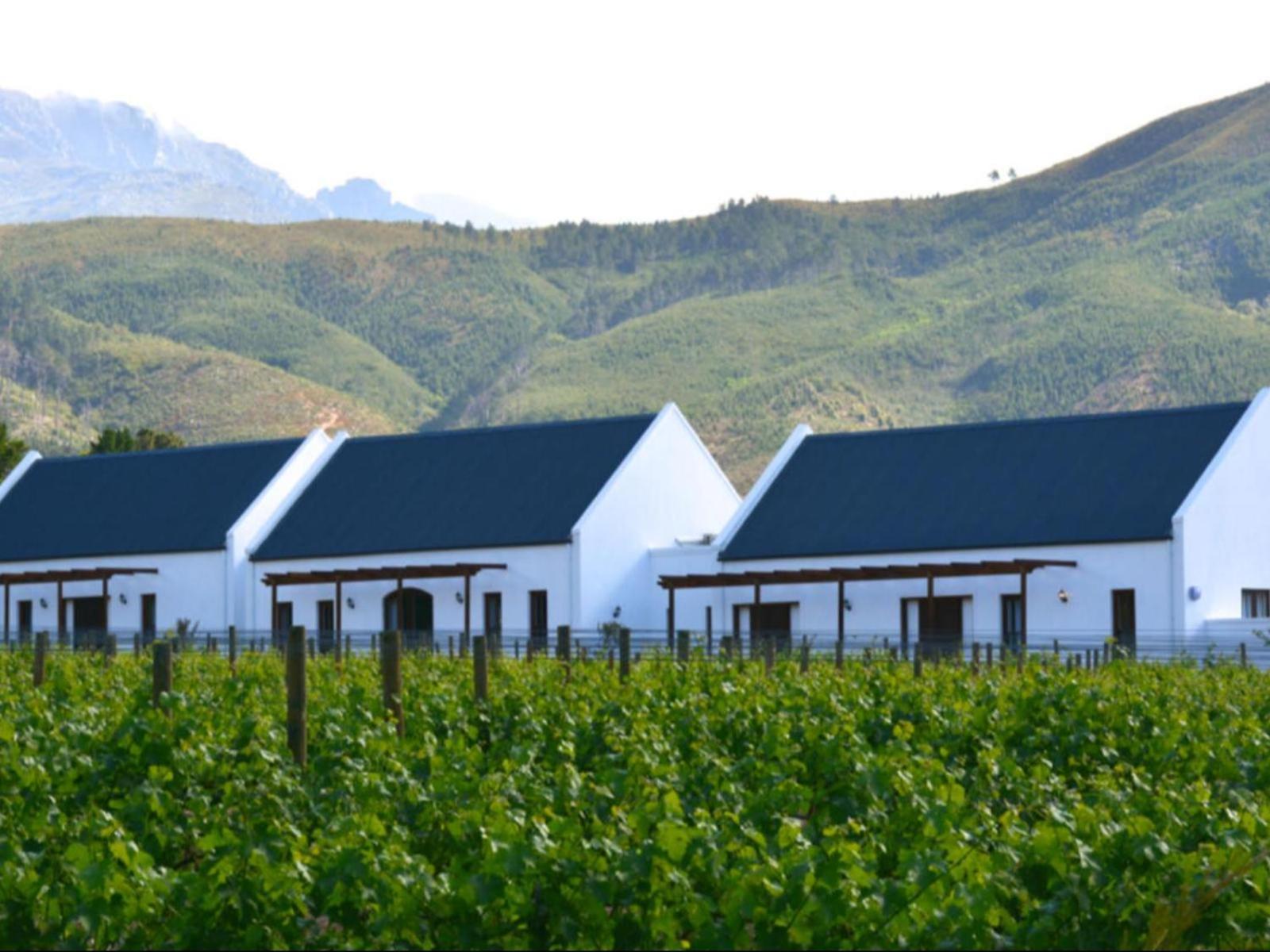 Chambray Estate - The Terraces In The Vines Panzió Franschhoek Kültér fotó