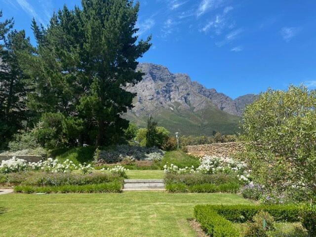 Chambray Estate - The Terraces In The Vines Panzió Franschhoek Kültér fotó