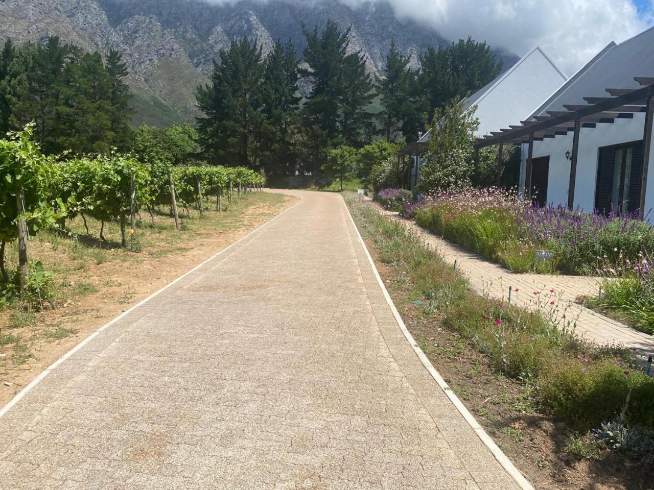 Chambray Estate - The Terraces In The Vines Panzió Franschhoek Kültér fotó